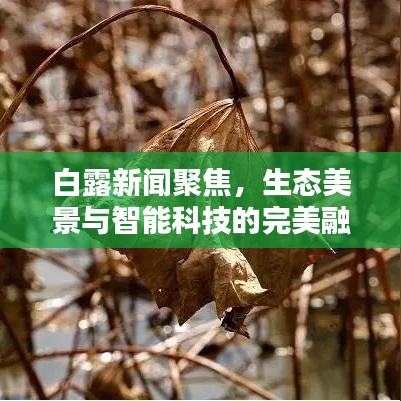 白露新闻聚焦,生态美景与智能科技的完美融合盛宴