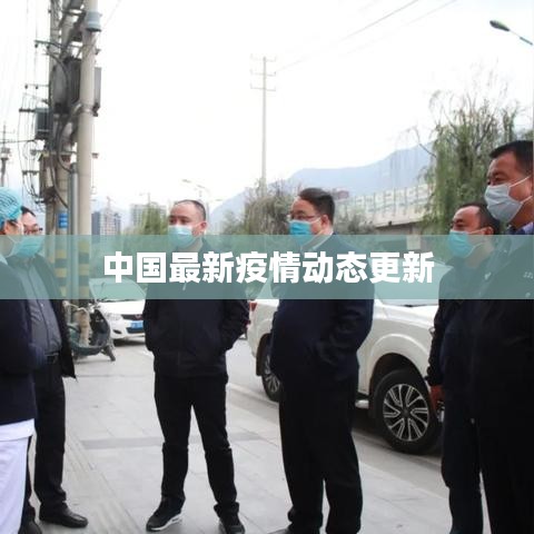 中国最新疫情动态更新