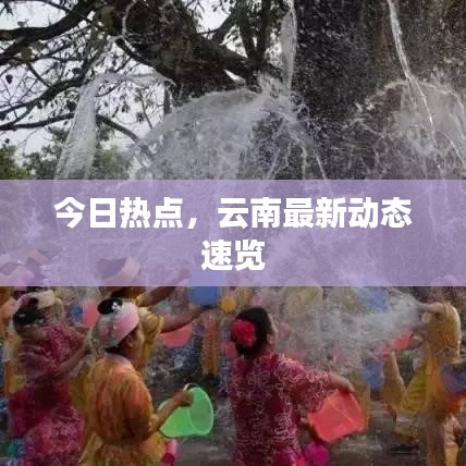 今日热点,云南最新动态速览