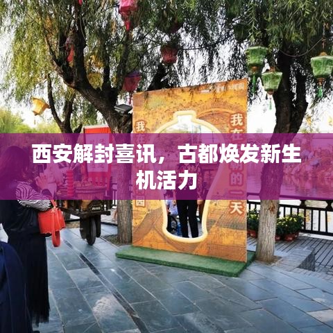 西安解封喜讯,古都焕发新生机活力