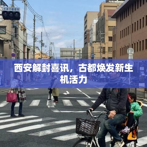 西安解封喜讯,古都焕发新生机活力