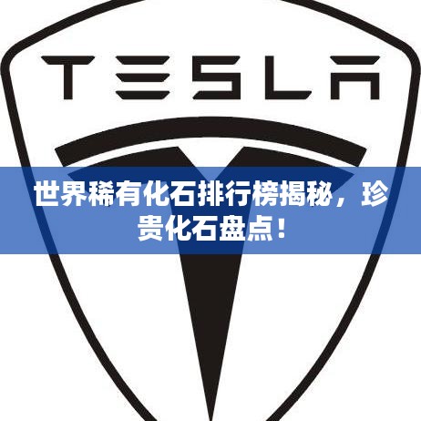 世界稀有化石排行榜揭秘，珍贵化石盘点！