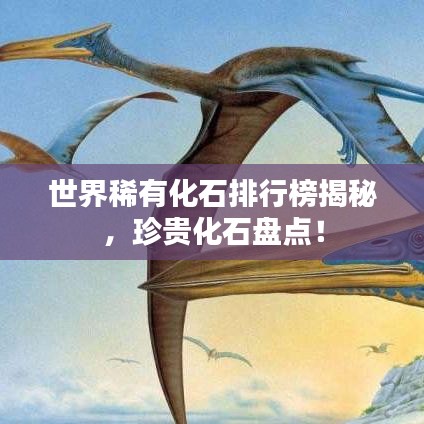 世界稀有化石排行榜揭秘,珍贵化石盘点!