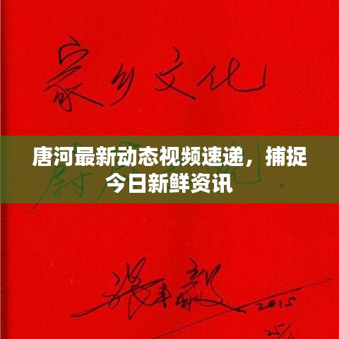 唐河最新动态视频速递,捕捉今日新鲜资讯