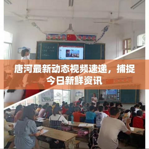唐河最新动态视频速递,捕捉今日新鲜资讯