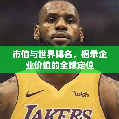 市值与世界排名,揭示企业价值的全球定位