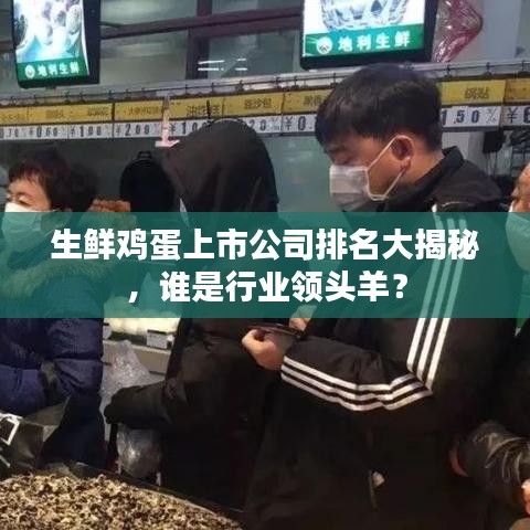生鲜鸡蛋上市公司排名大揭秘，谁是行业领头羊？