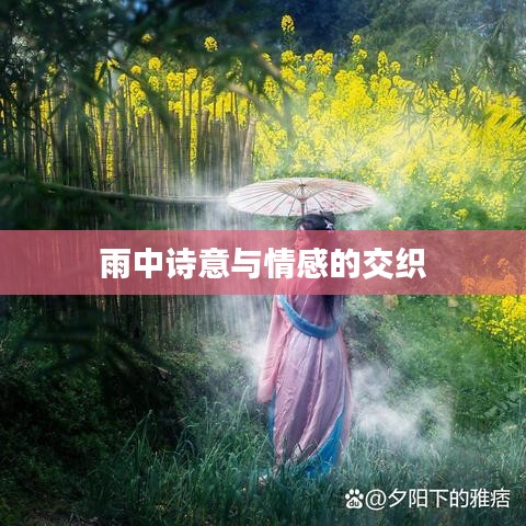 雨中诗意与情感的交织