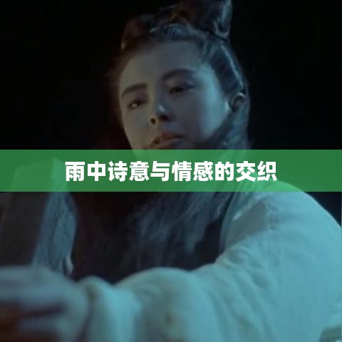 雨中诗意与情感的交织