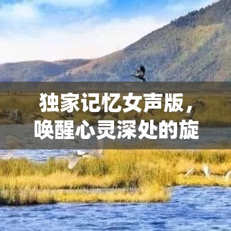 独家记忆女声版，唤醒心灵深处的旋律之美