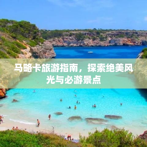 越鸟南栖 第5页