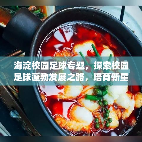 海淀校园足球专题，探索校园足球蓬勃发展之路，培育新星启航未来！