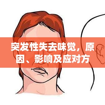突发性失去味觉，原因、影响及应对方法全解析