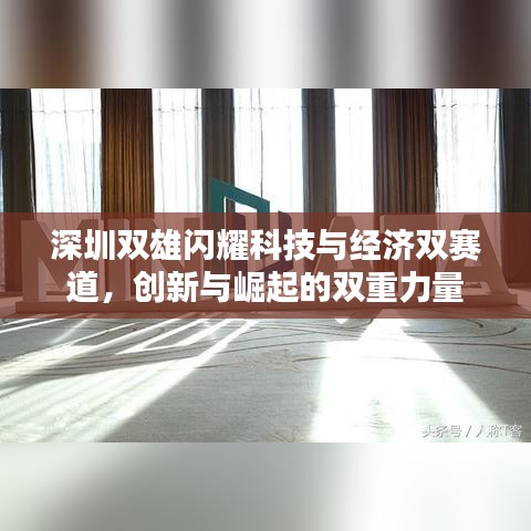 深圳双雄闪耀科技与经济双赛道,创新与崛起的双重力量