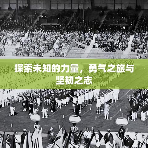 探索未知的力量，勇气之旅与坚韧之志