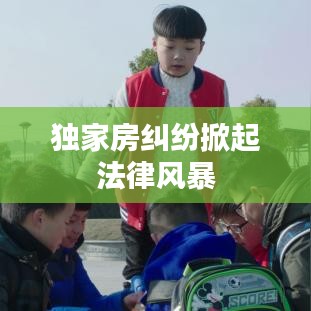 独家房纠纷掀起法律风暴