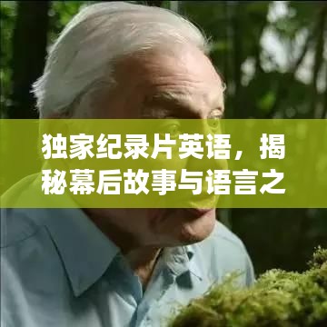 文贵天成 第5页