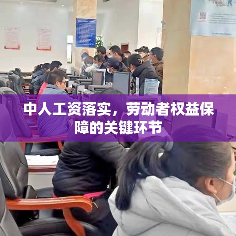 激活码福利站及微TV官方下载,安全性策略评估|开发版1_v10.217