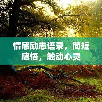 情感励志语录，简短感悟，触动心灵