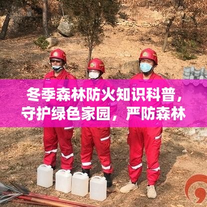 冬季森林防火知识科普,守护绿色家园,严防森林火险