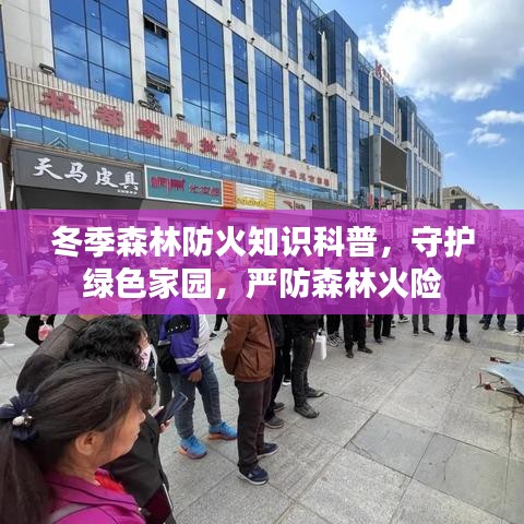 冬季森林防火知识科普,守护绿色家园,严防森林火险