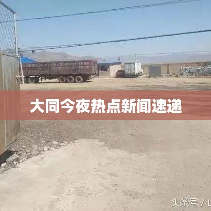 寥若晨星 第6页