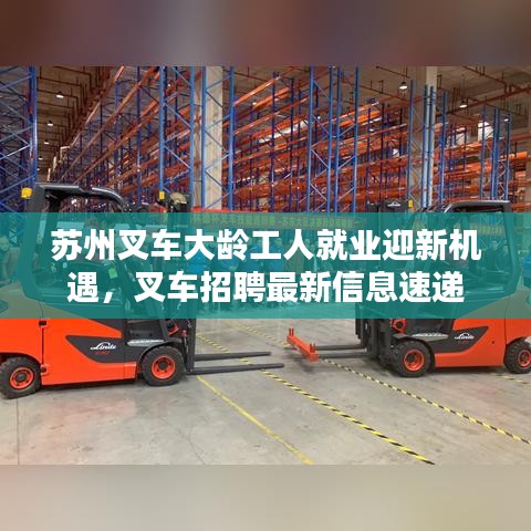 苏州叉车大龄工人就业迎新机遇，叉车招聘最新信息速递