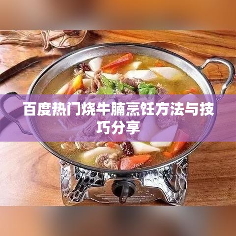 百度热门烧牛腩烹饪方法与技巧分享