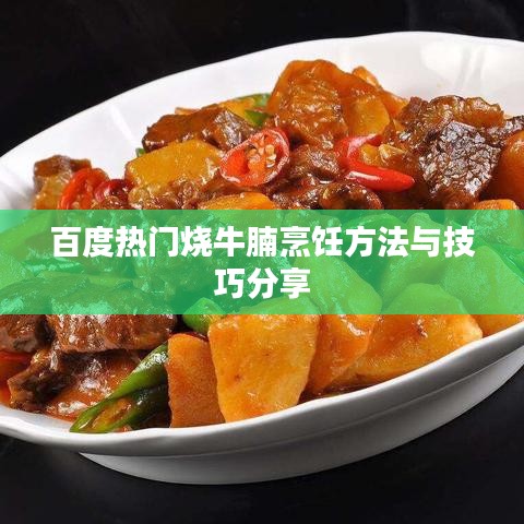 百度热门烧牛腩烹饪方法与技巧分享