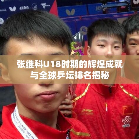 张继科U18时期的辉煌成就与全球乒坛排名揭秘