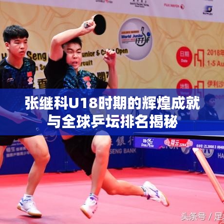 张继科U18时期的辉煌成就与全球乒坛排名揭秘
