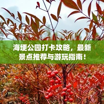 海埂公园打卡攻略,最新景点推荐与游玩指南!