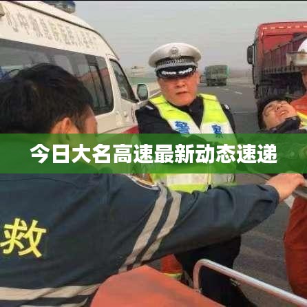 今日大名高速最新动态速递