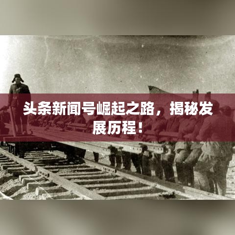 头条新闻号崛起之路,揭秘发展历程!