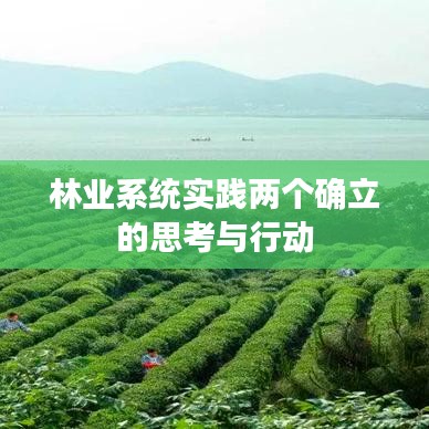 林业系统实践两个确立的思考与行动