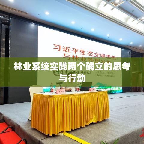林业系统实践两个确立的思考与行动