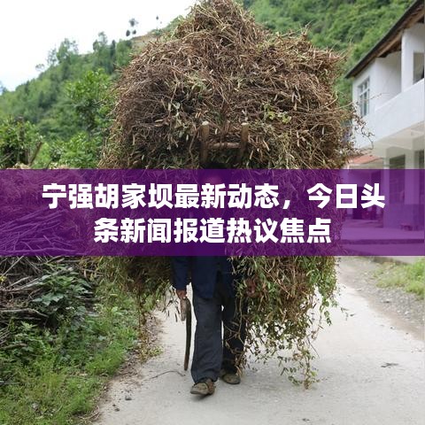 宁强胡家坝最新动态，今日头条新闻报道热议焦点