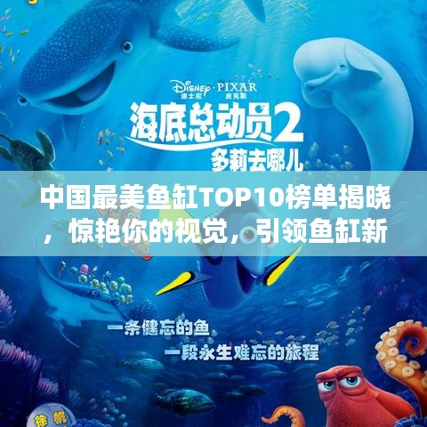 中国最美鱼缸TOP10榜单揭晓，惊艳你的视觉，引领鱼缸新潮流！
