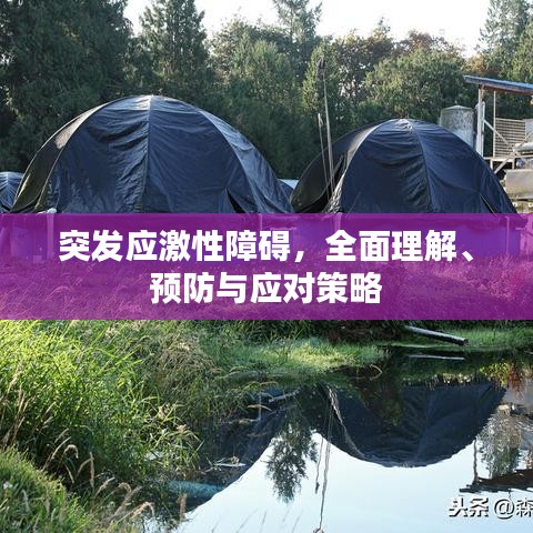 突发应激性障碍,全面理解、预防与应对策略