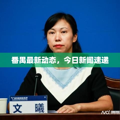 番禺最新动态，今日新闻速递
