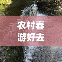 农村春游好去处，全面攻略，带你玩转乡村美景！