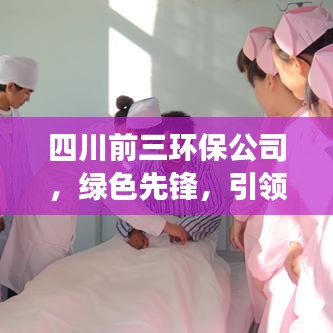 四川前三环保公司，绿色先锋，引领发展之路
