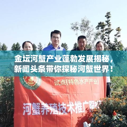 金坛河蟹产业蓬勃发展揭秘,新闻头条带你探秘河蟹世界!