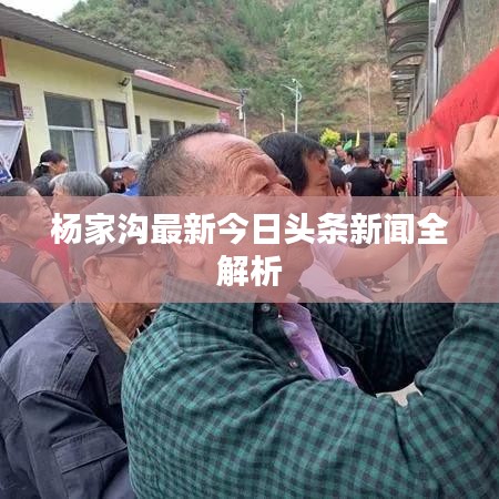 杨家沟最新今日头条新闻全解析