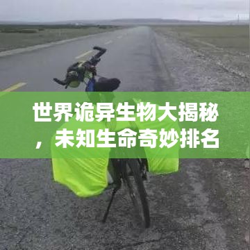 qq斗地主单机版与line表情官方下载,创新方案设计-PT_v1.810