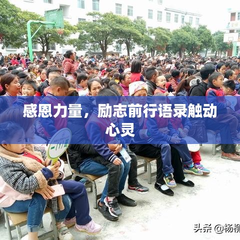 感恩力量,励志前行语录触动心灵