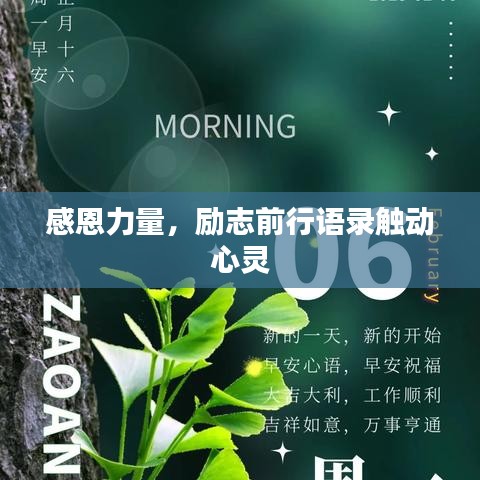 感恩力量,励志前行语录触动心灵