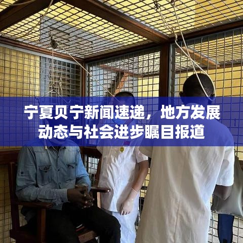 宁夏贝宁新闻速递,地方发展动态与社会进步瞩目报道