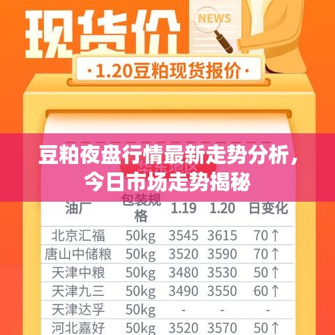 豆粕夜盘行情最新走势分析,今日市场走势揭秘