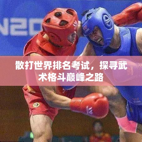散打世界排名考试，探寻武术格斗巅峰之路